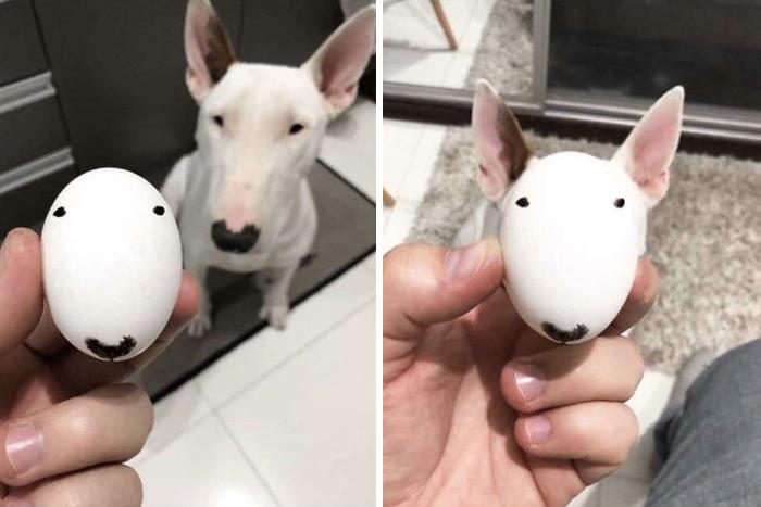 Eggcellent
