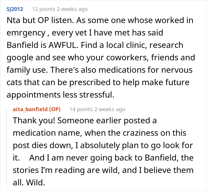 “AITA For Firing My Vet After The Way The Nurse Spoke To Me?” - 17