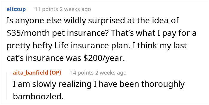 “AITA For Firing My Vet After The Way The Nurse Spoke To Me?” - 18