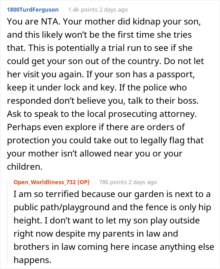 Woman Asks The Internet Whether She Was Wrong To Tell Her Mother She Can’t See Her Son Anymore After She Kidnapped Him - 24