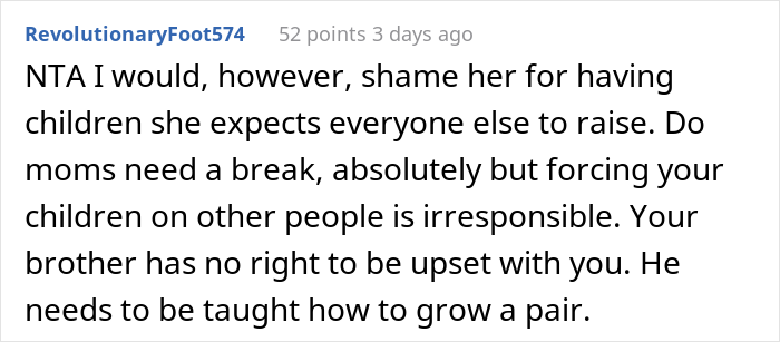 Woman Upset As Her Younger Brother Flatly Declares He&rsquo;s Not A Nanny For Her 3 Kids, Calls Him A Jerk