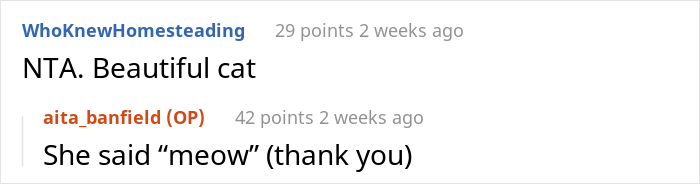 “AITA For Firing My Vet After The Way The Nurse Spoke To Me?” - 16