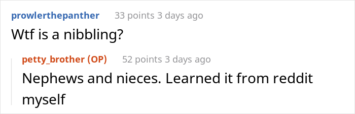 Woman Upset As Her Younger Brother Flatly Declares He&rsquo;s Not A Nanny For Her 3 Kids, Calls Him A Jerk
