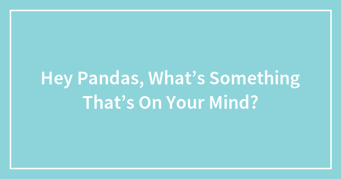 Hey Pandas, What’s Something That’s On Your Mind?