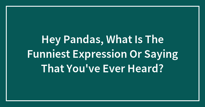 Hey Pandas, What Is The Funniest Expression Or Saying That You’ve Ever Heard? (Closed)