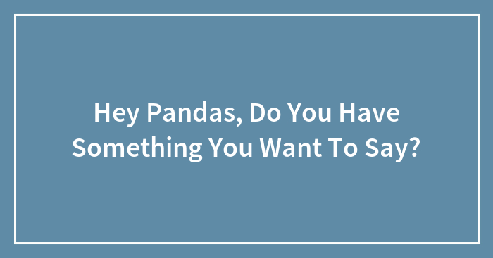 Hey Pandas, Do You Have Something You Want To Say?