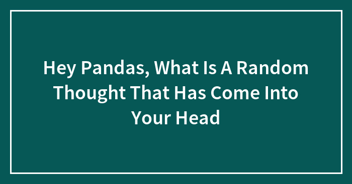 Hey Pandas, What Is A Random Thought That Has Come Into Your Head?