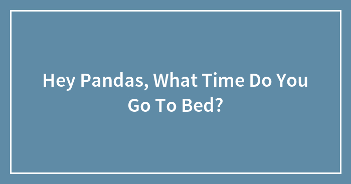 Hey Pandas, What Time Do You Go To Bed? (Closed)