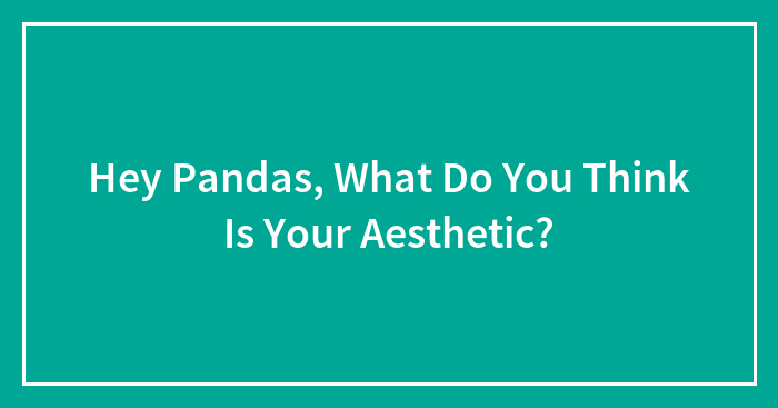 Hey Pandas, What Do You Think Is Your Aesthetic?