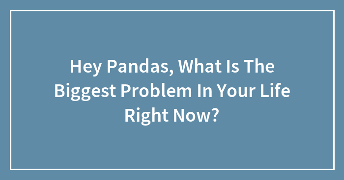 Hey Pandas, What Is The Biggest Problem In Your Life Right Now?