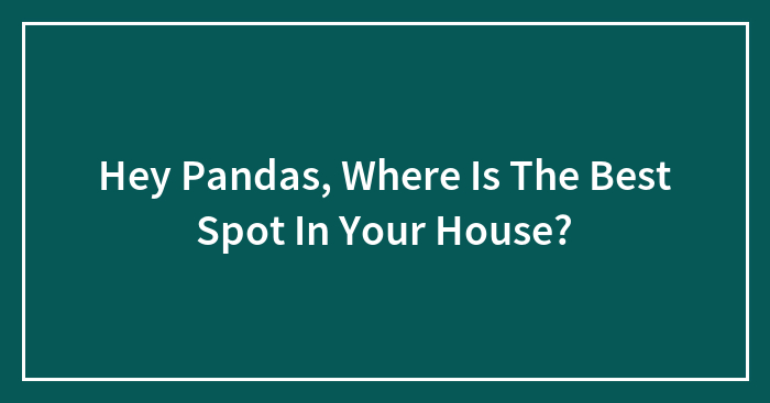 Hey Pandas, Where Is The Best Spot In Your House?