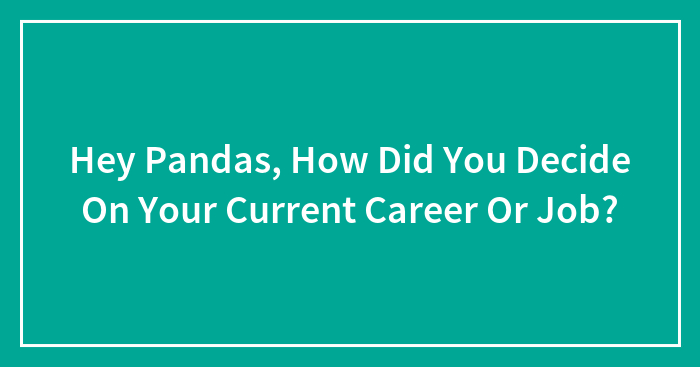 Hey Pandas, How Did You Decide On Your Current Career Or Job?