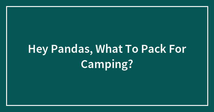 Hey Pandas, What To Pack For Camping?