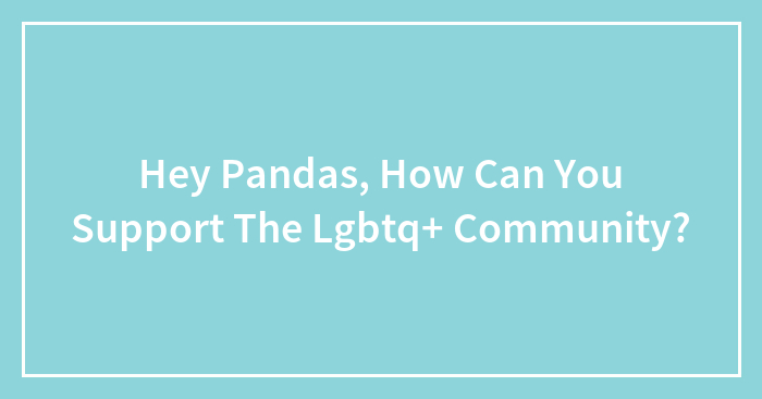 Hey Pandas, How Can You Support The Lgbtq+ Community?