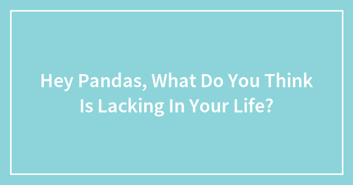 Hey Pandas, What Do You Think Is Lacking In Your Life? (Closed)