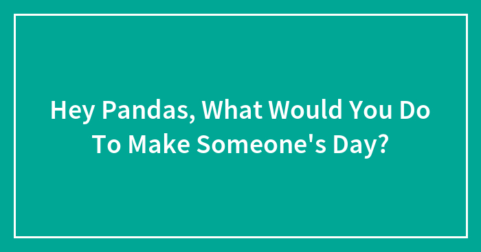 Hey Pandas, What Would You Do To Make Someone’s Day?
