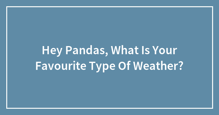 Hey Pandas, What Is Your Favourite Type Of Weather?