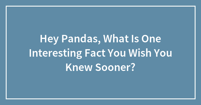 Hey Pandas, What Is One Interesting Fact You Wish You Knew Sooner? (Closed)