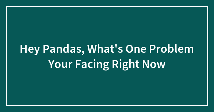 Hey Pandas, What’s One Problem Your Facing Right Now (Closed)