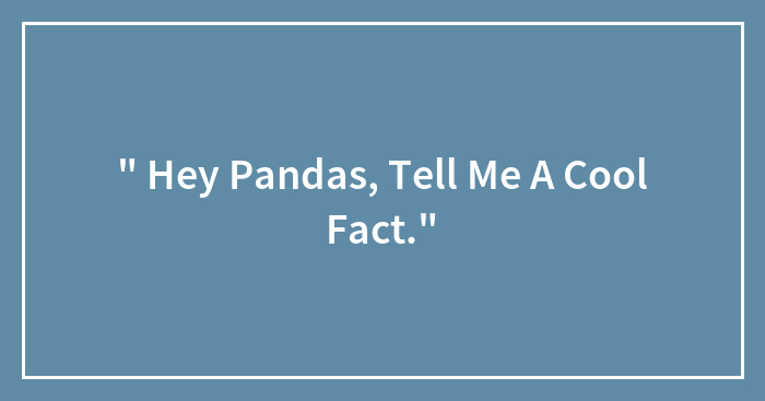 ” Hey Pandas, Tell Me A Cool Fact.” (Closed)
