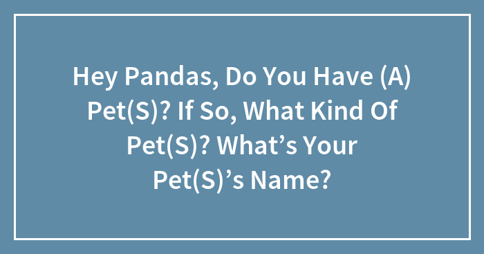 Hey Pandas, Do You Have (A) Pet(S)? If So, What Kind Of Pet(S)? What’s Your Pet(S)’s Name?
