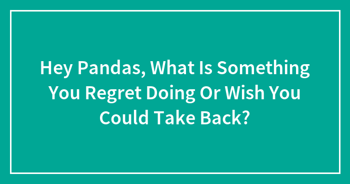 Hey Pandas, What Is Something You Regret Doing Or Wish You Could Take Back? (Closed)