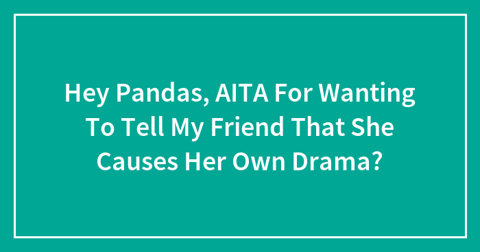 Hey Pandas, AITA For Wanting To Tell My Friend That She Causes Her Own Drama? (Closed)