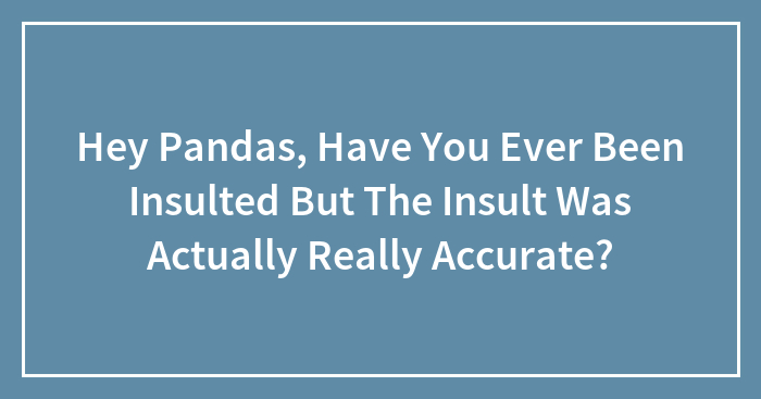 Hey Pandas, Have You Ever Been Insulted But The Insult Was Actually Really Accurate? (Closed)