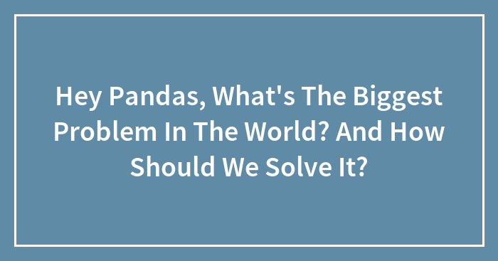 Hey Pandas, What’s The Biggest Problem In The World? And How Should We Solve It?