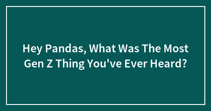 Hey Pandas, What Was The Most Gen Z Thing You’ve Ever Heard?