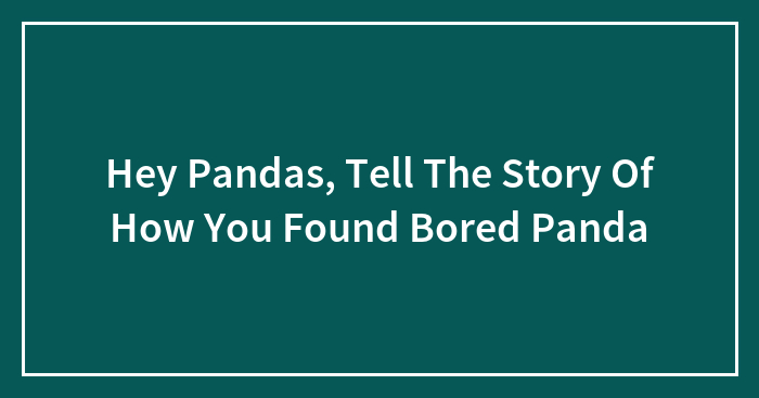 Hey Pandas, Tell The Story Of How You Found Bored Panda