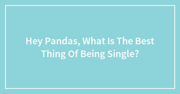Hey Pandas, What Is The Best Thing Of Being Single? (Closed)