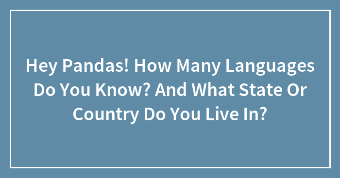 Hey Pandas! How Many Languages Do You Know? And What State Or Country Do You Live In?