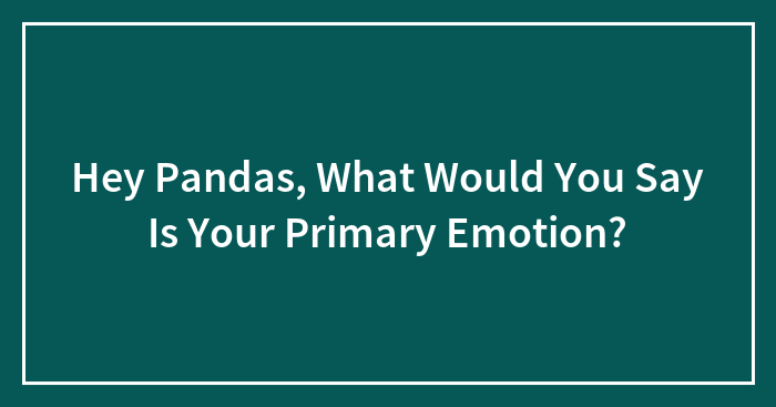 Hey Pandas, What Would You Say Is Your Primary Emotion?