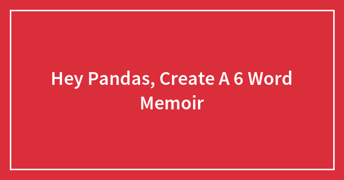 Hey Pandas, Create A 6 Word Memoir
