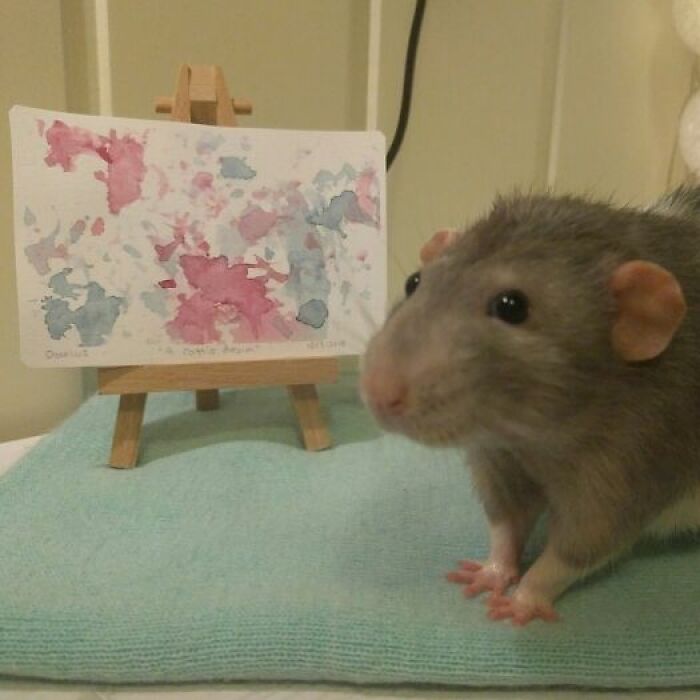 Hey Pandas, Post A Photo Of The Art And The Artist