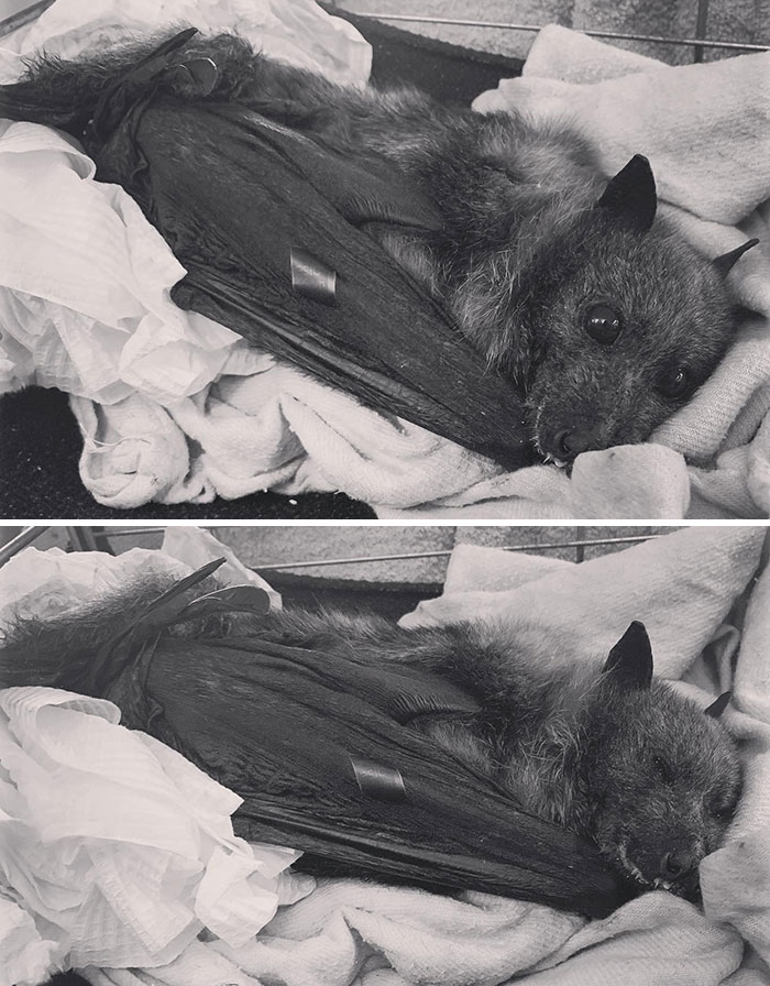 Moments Before Falling Asleep