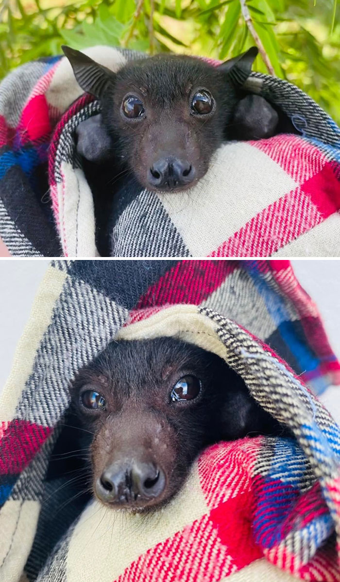 New Kid On The Block