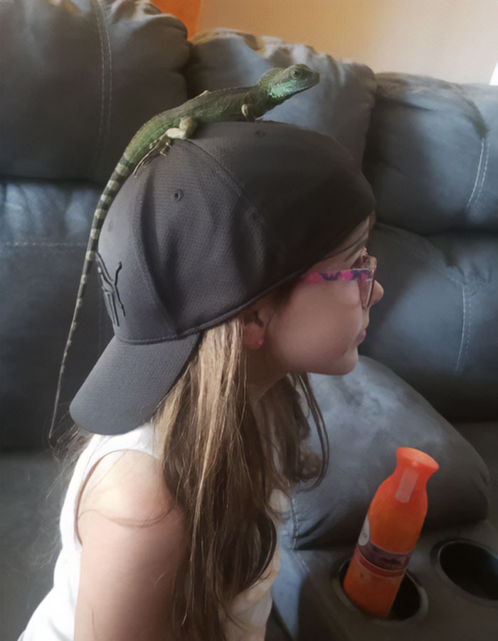 The Lizard Was Intended To Decrease Her Screen Time