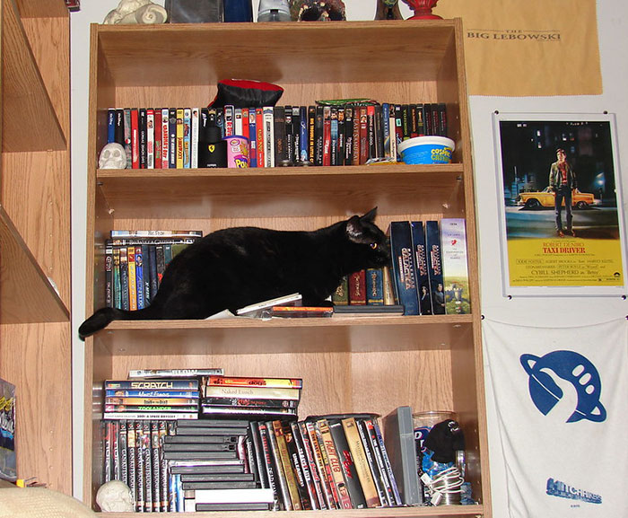 People Are Listing Household Objects That Are Actually Way More Dangerous Than They Appear - 11