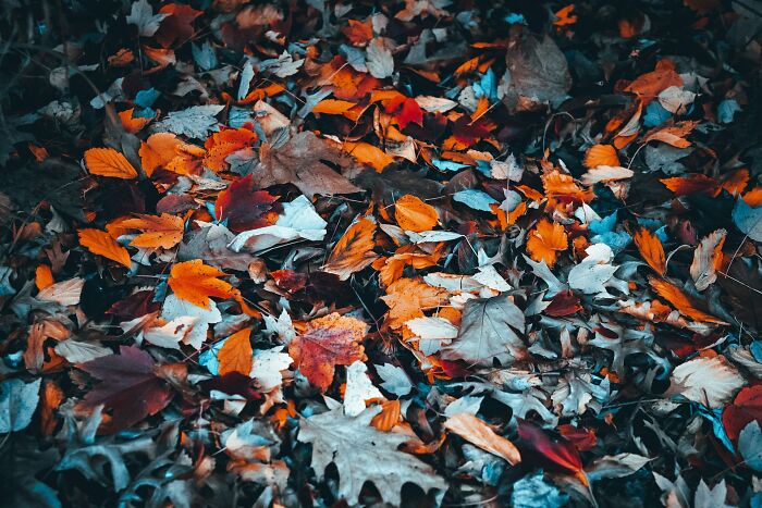 35 Strange Secret Rooms These People Found In Their Homes, Shared In This Online Thread