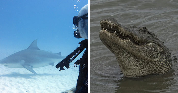 Divers Reveal 50 Disturbing Discoveries Underwater They Will Probably Never Be Able To Explain