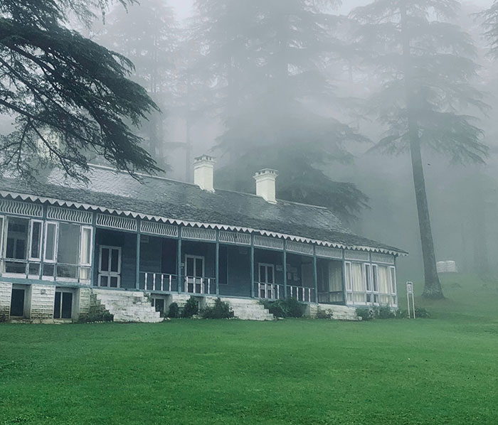 Old building surrounded by fog and tall trees, creating a mysterious atmosphere related to disturbing and disgusting medical stories.