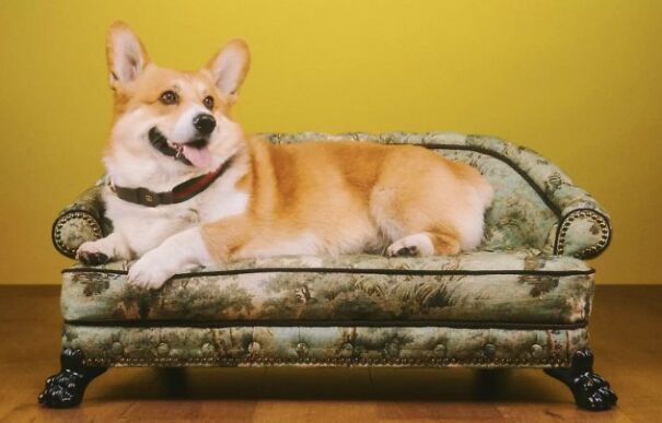 Gucci Released A Fancy Clothing And Accessories Line, And It's Lavish Gucci Released A Fancy Clothing And Accessories Line, And It's Lavish