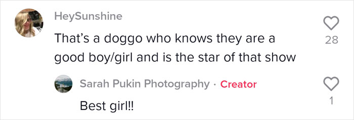 Dog Goes Viral For Photobombing Its Owners’ Wedding Picture, Others Share Their Own Pics Dog Goes Viral For Photobombing Its Owners’ Wedding Picture, Others Share Their Own Pics