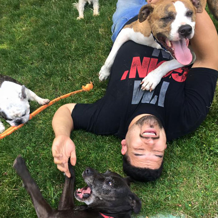 “My Dog Isn't Lonely At Home”: Adorable Doggy School Bus Picks Up Pups Every Day And Takes Them To Daycare - 2