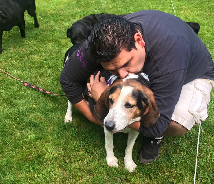 “My Dog Isn't Lonely At Home”: Adorable Doggy School Bus Picks Up Pups Every Day And Takes Them To Daycare - 3
