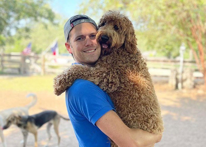 “My Dog Isn't Lonely At Home”: Adorable Doggy School Bus Picks Up Pups Every Day And Takes Them To Daycare - 6