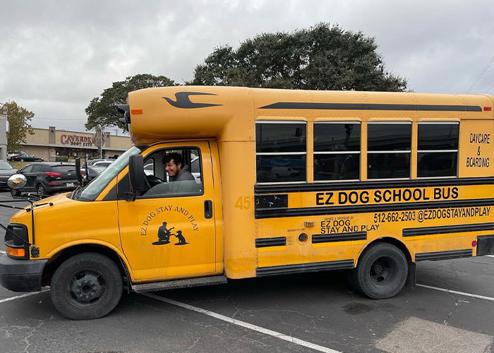 “My Dog Isn't Lonely At Home”: Adorable Doggy School Bus Picks Up Pups Every Day And Takes Them To Daycare - 7
