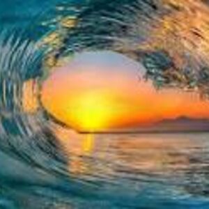 hailieparsons avatar